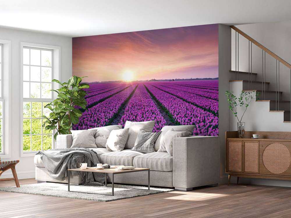 Pole tulipanów o wschodzie słońca