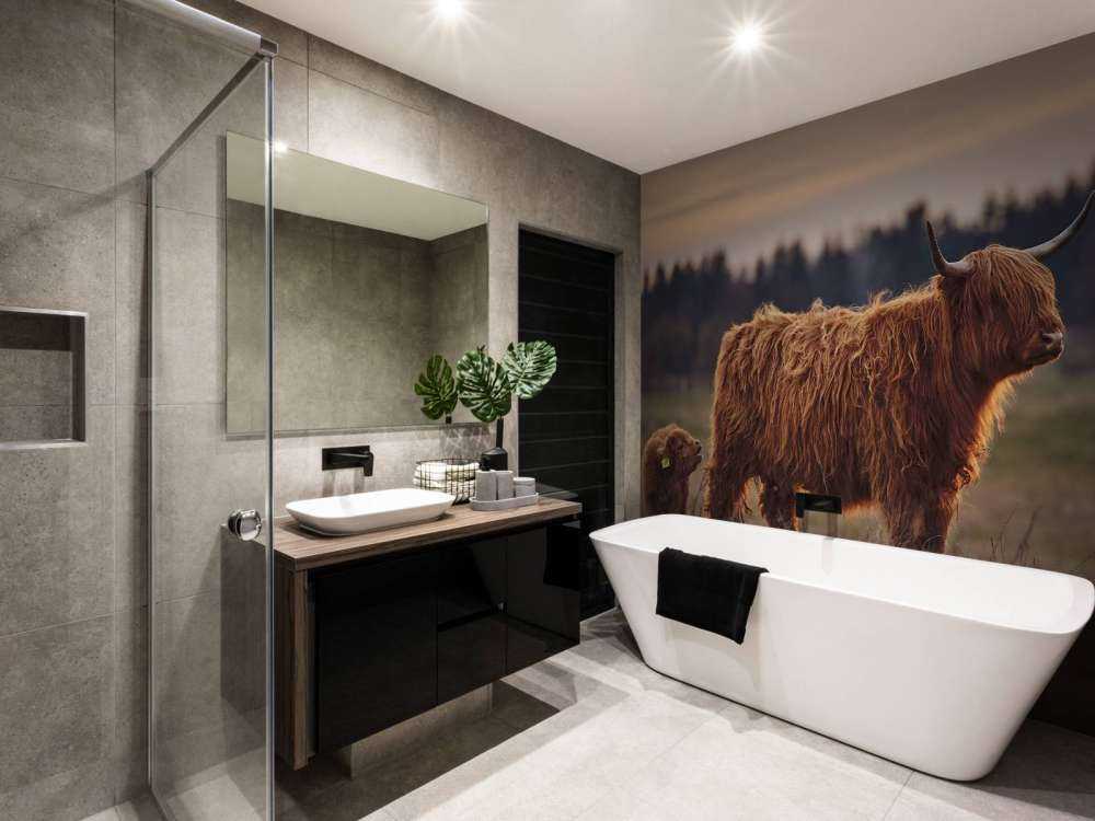 Szkockie wyżyny na łące