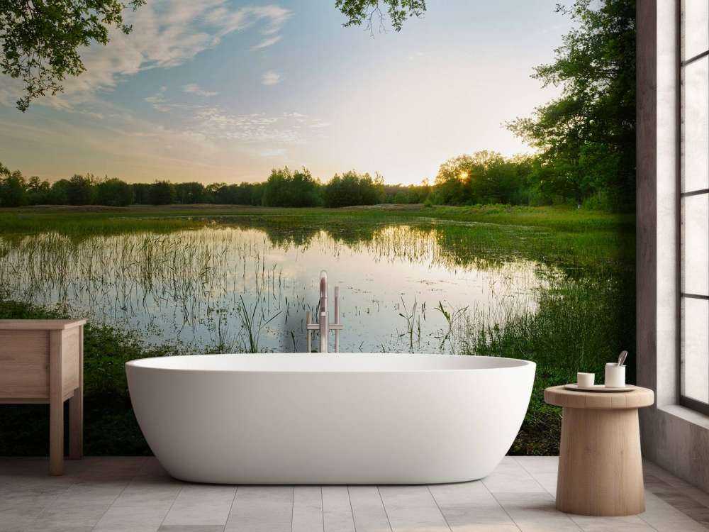 Zachód słońca w lesie