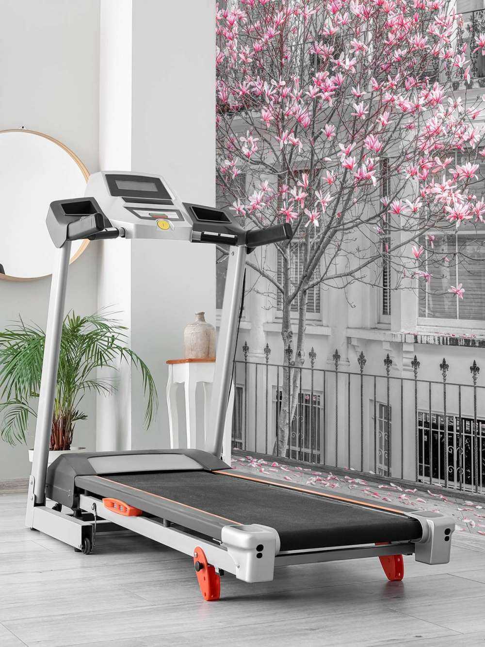 Kwitnące drzewo magnolii