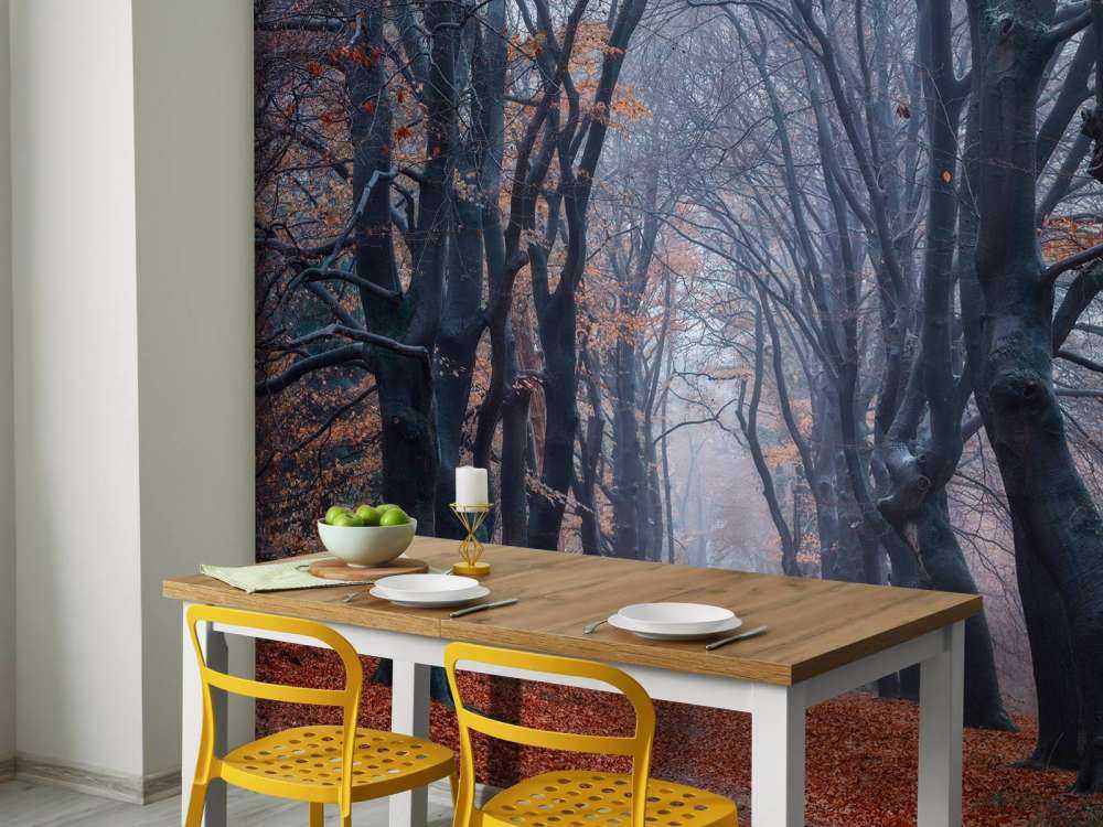 Leśna ścieżka z liśćmi