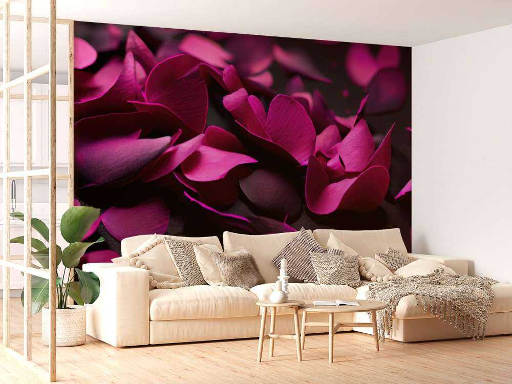 Ciemnoróżowe hortensje