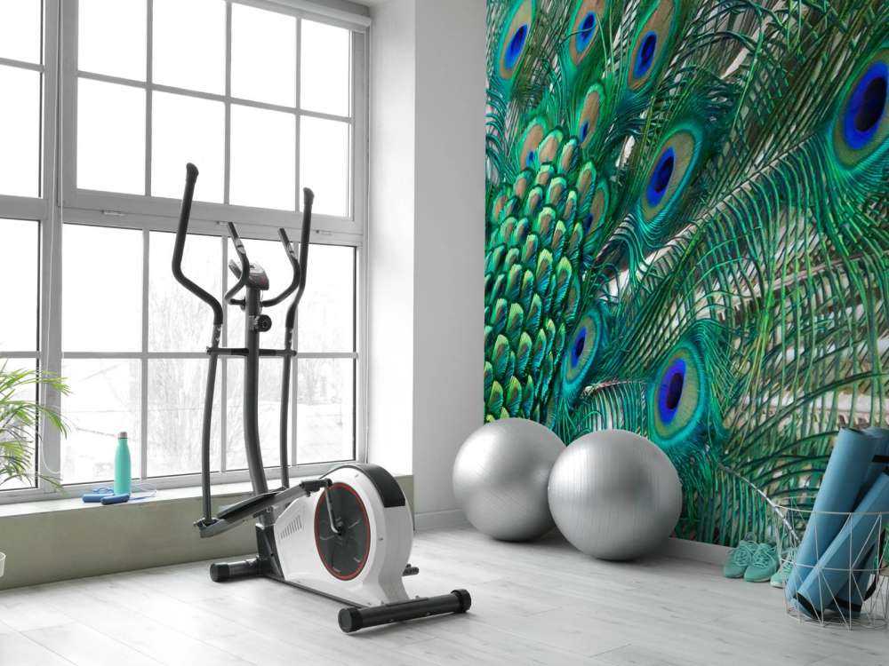 Kolorowe upierzenie pawia