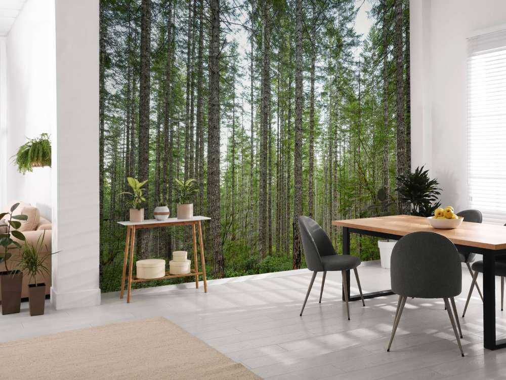 Drzewa wysoko wyprostowane