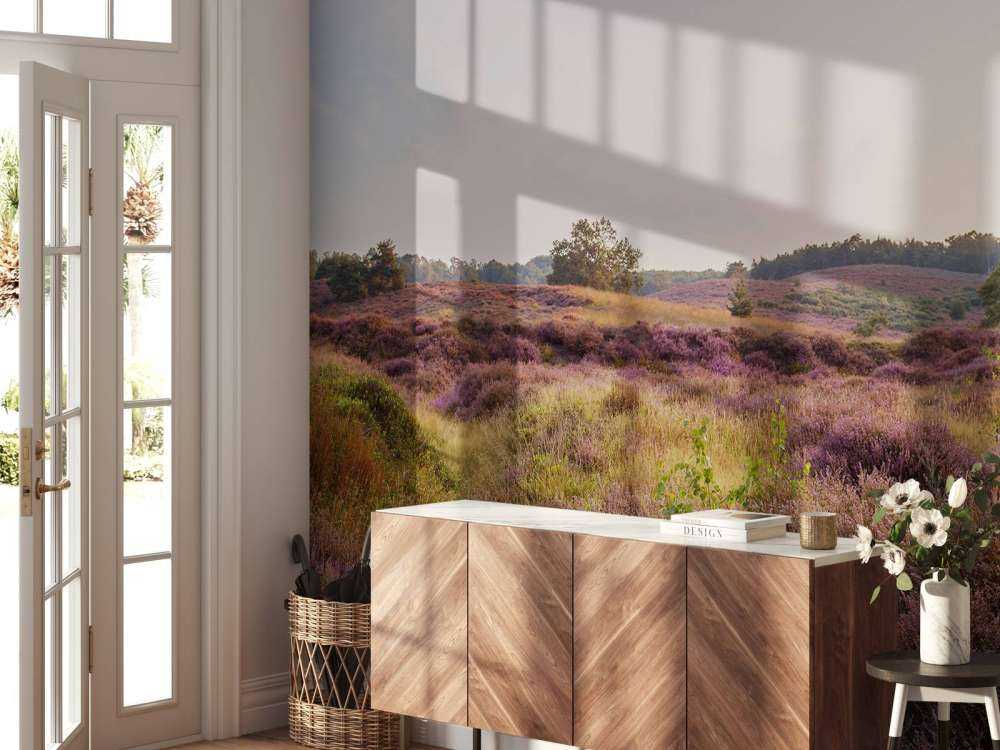 Heathland o wschodzie słońca