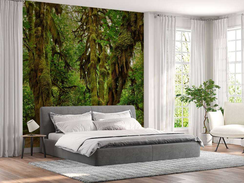 Stary las na pustyni