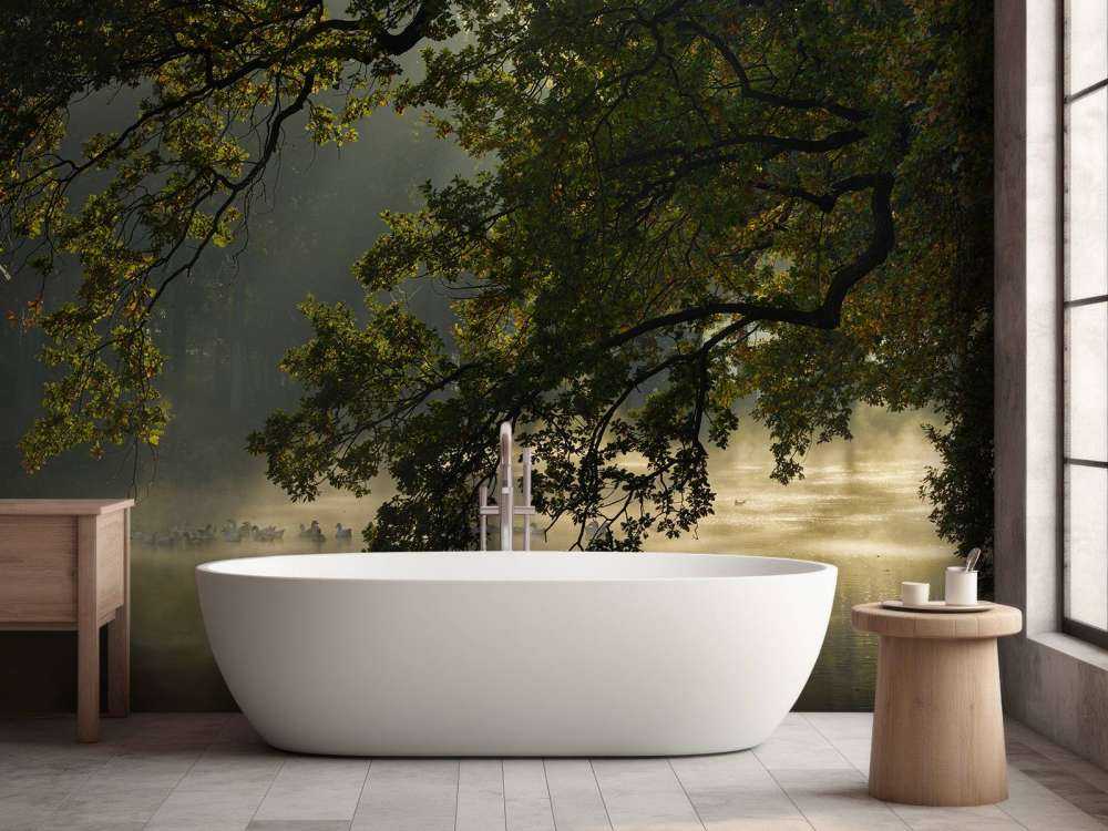 Zwisające gałęzie nad wodą