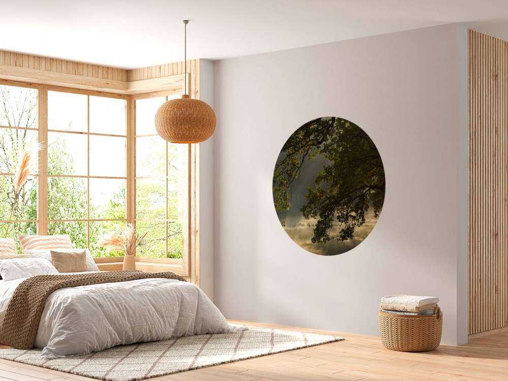 Zwisające gałęzie nad wodą