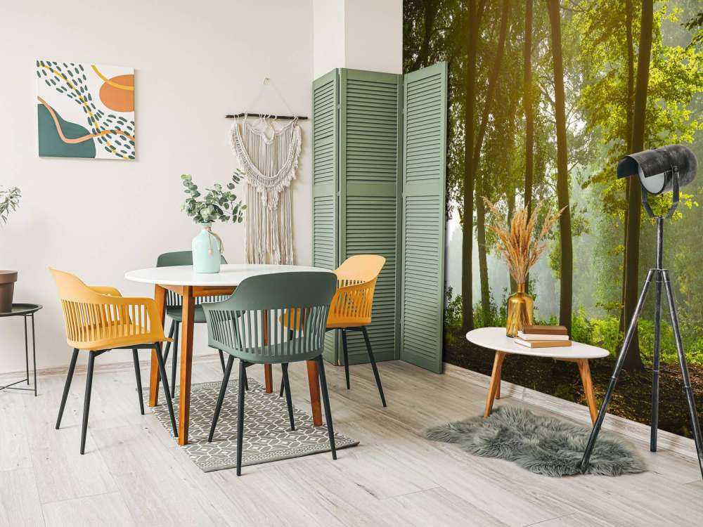 Las w porannym słońcu