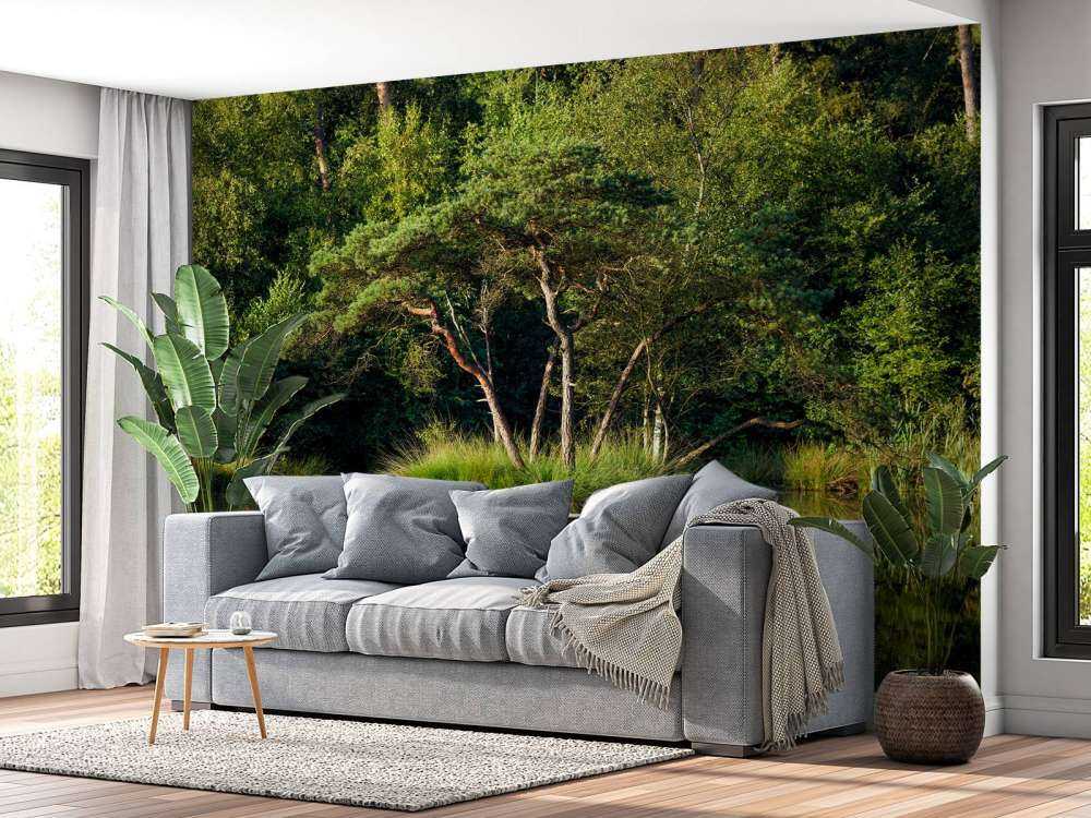 Wyspa w jeziorze leśnym