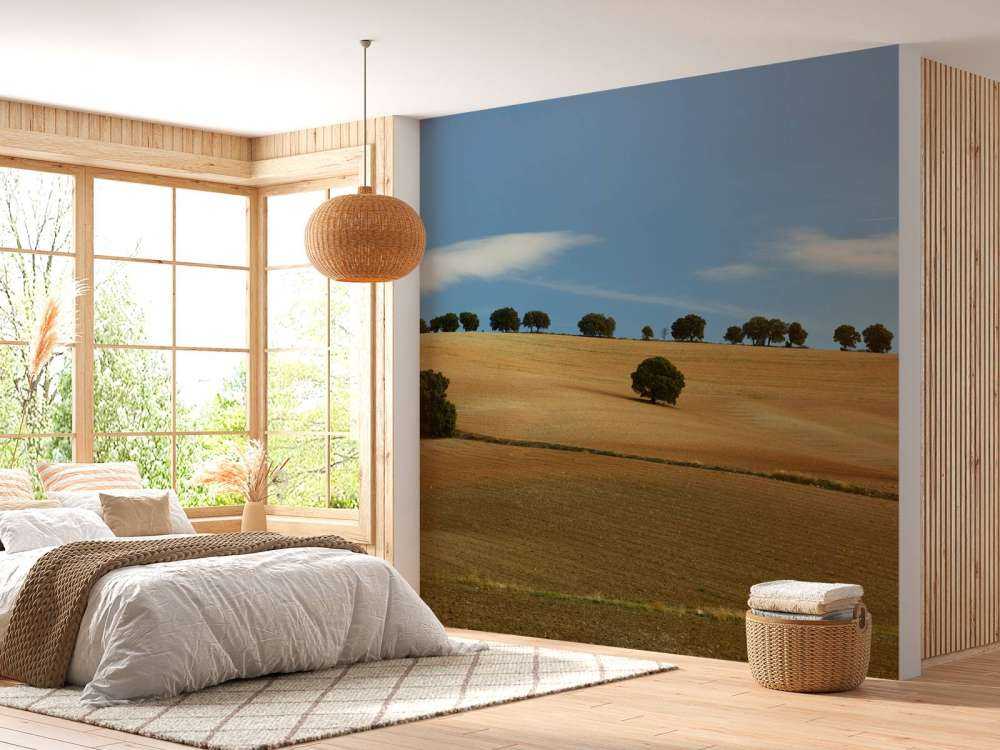 Drzewa w hiszpańskim krajobrazie