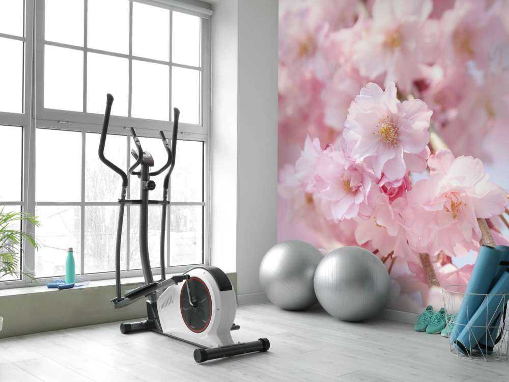 Zbliżenie na różowe kwiaty