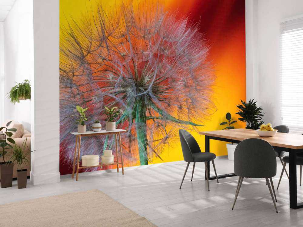 Zbliżenie na mniszka lekarskiego