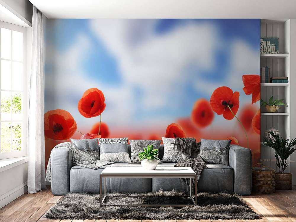 Błękitne niebo i czerwone maki