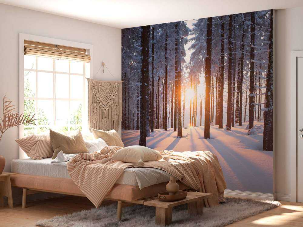 Zachód słońca w zimowym lesie