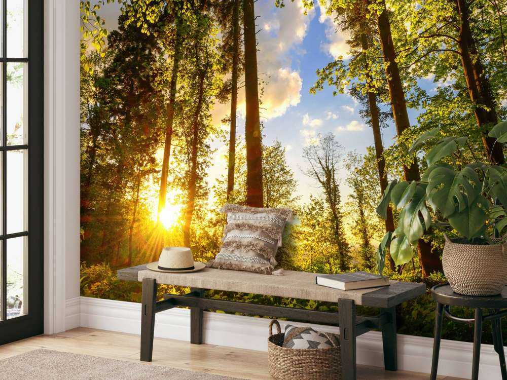 Zachód słońca wśród drzew