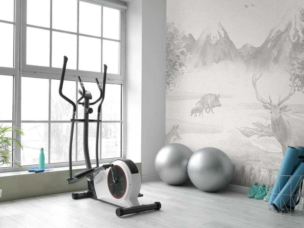 Zwierzęta leśne w odcieniach szarości