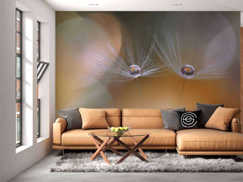 Nasiona mniszka lekarskiego