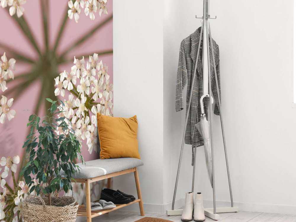 Pietruszka białej krowy