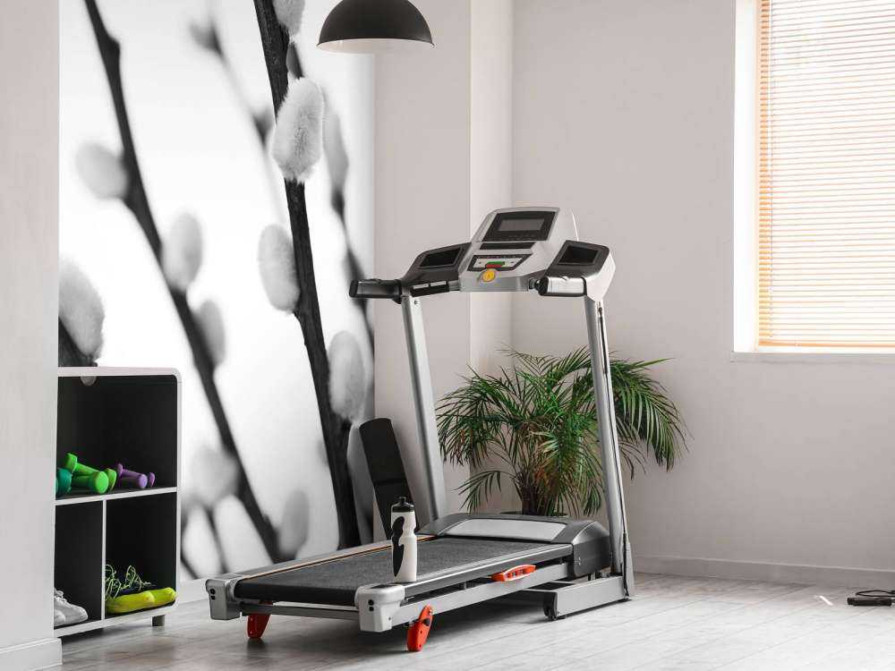 Wierzba leśna w czerni i bieli