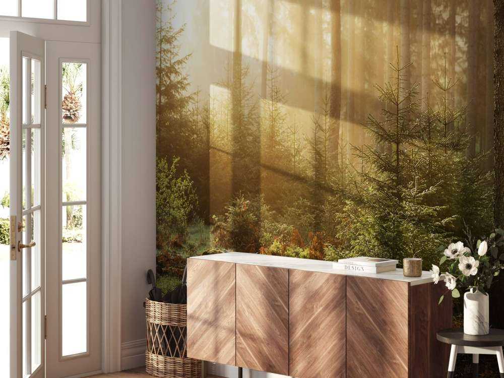 Promienie słońca przez las