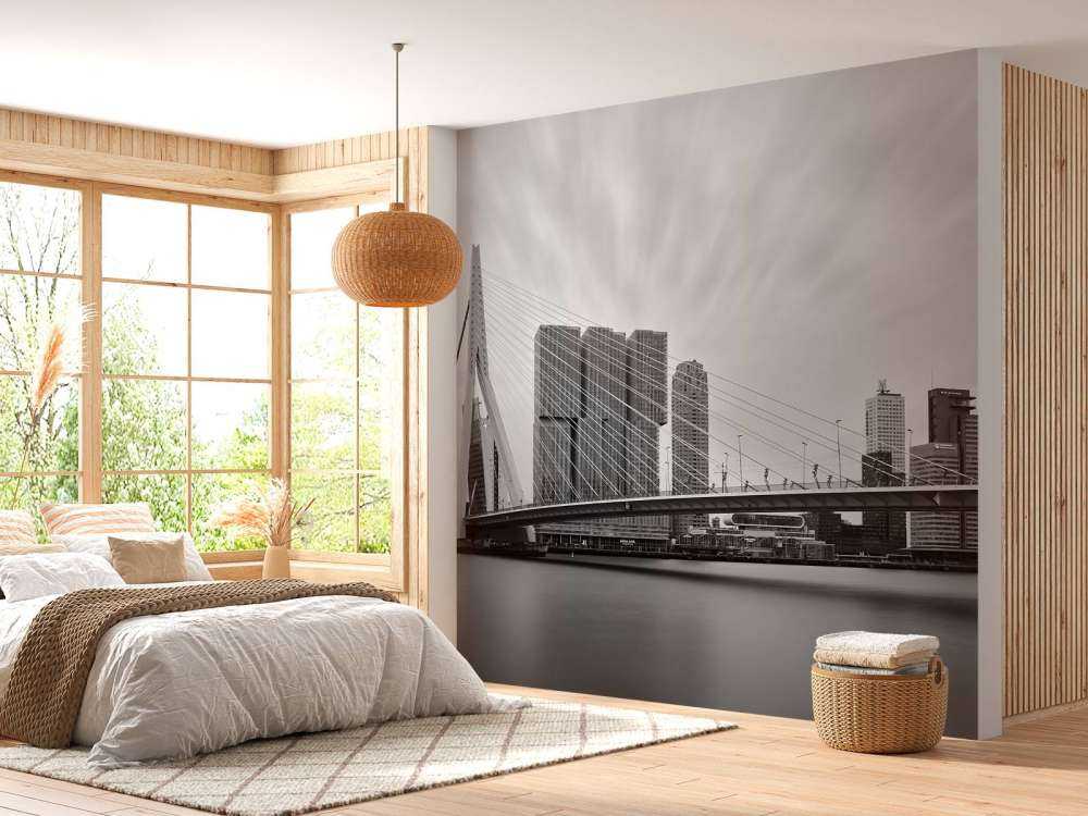 Mostek Erasmusa czarno-biały 