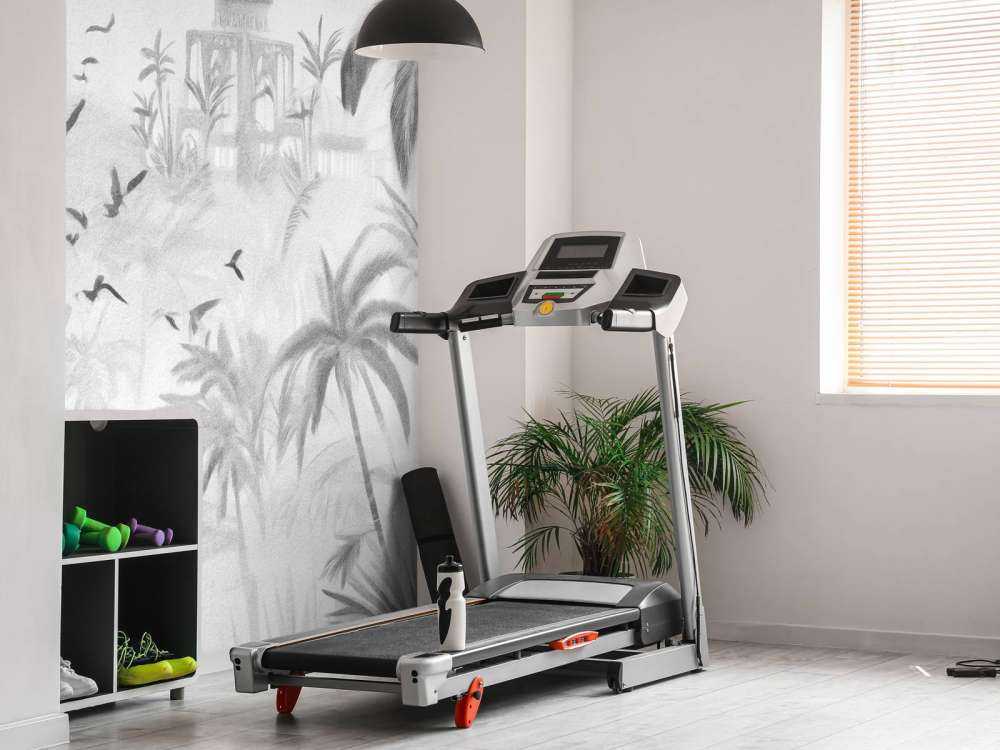 Ogród Orientalny o Świcie