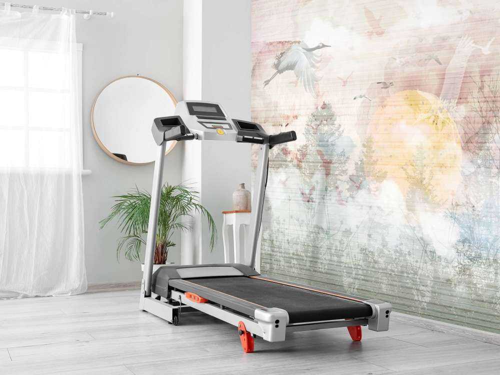 Wschód słońca w mgle