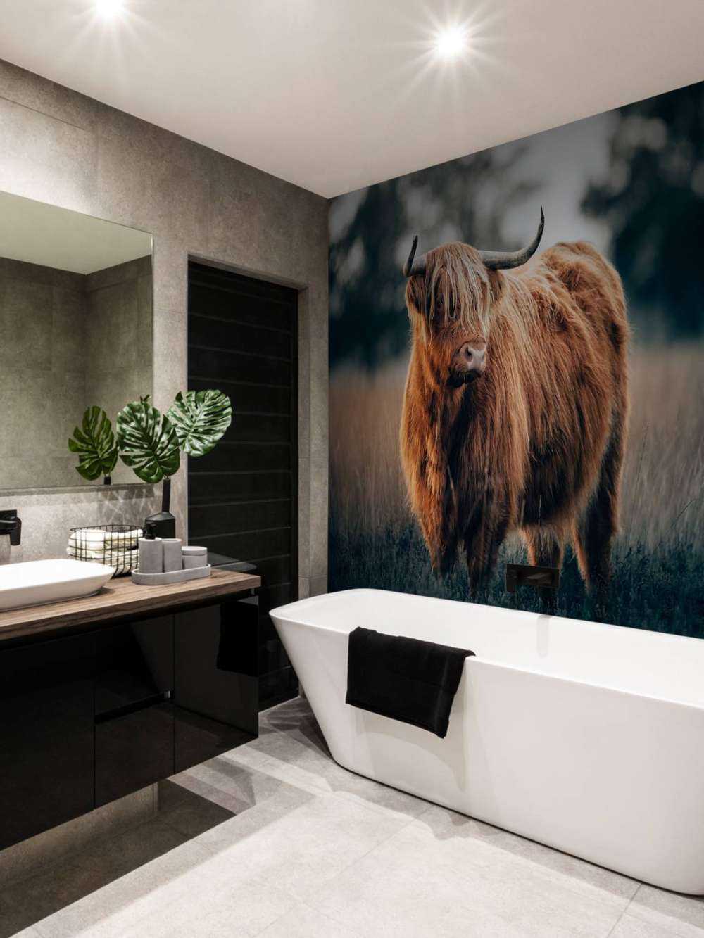 Portret góralskiego bydła