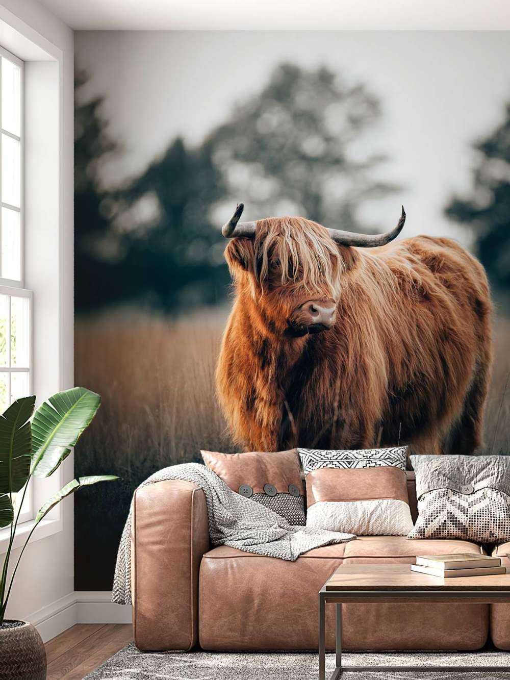 Portret góralskiego bydła