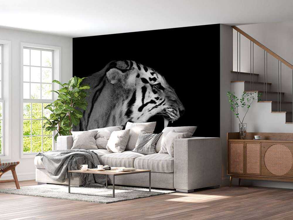 Ryczący tygrys czarny