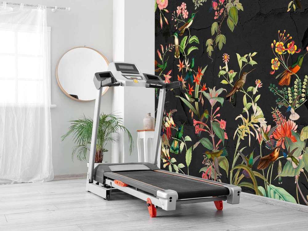 Egzotyczny Ogród Noir