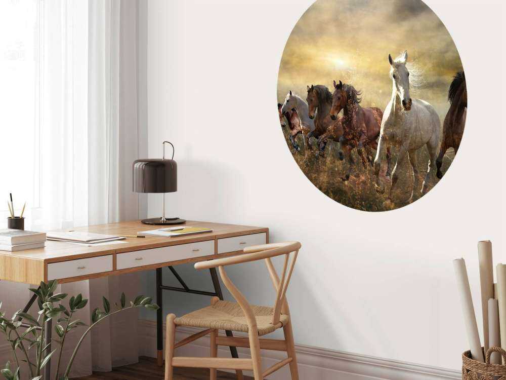 Konie galopujące o zachodzie słońca