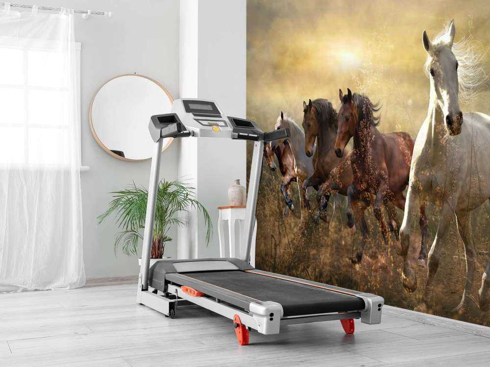 Konie galopujące o zachodzie słońca