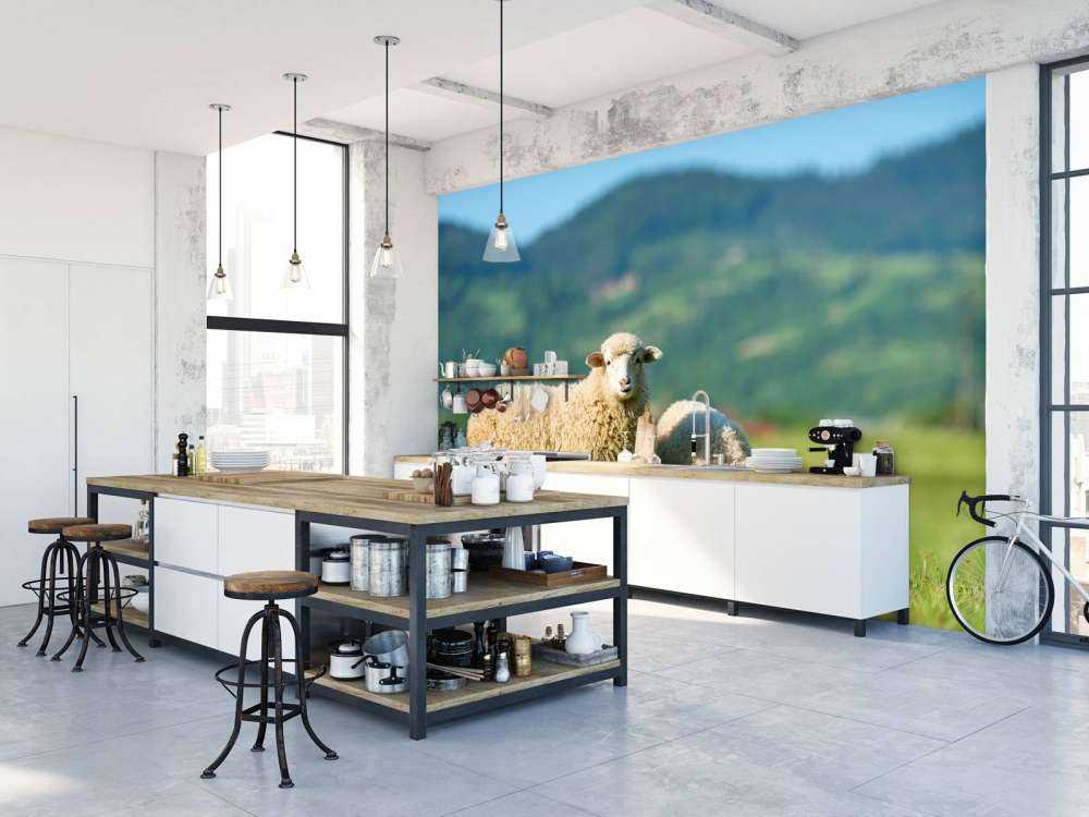 Dwie owce na pastwisku