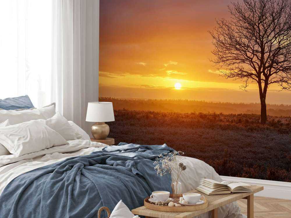 Kolorowy wschód słońca na wrzosowisku