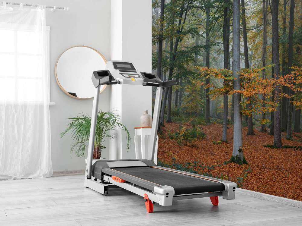 Jesienne kolory w zamglonym lesie