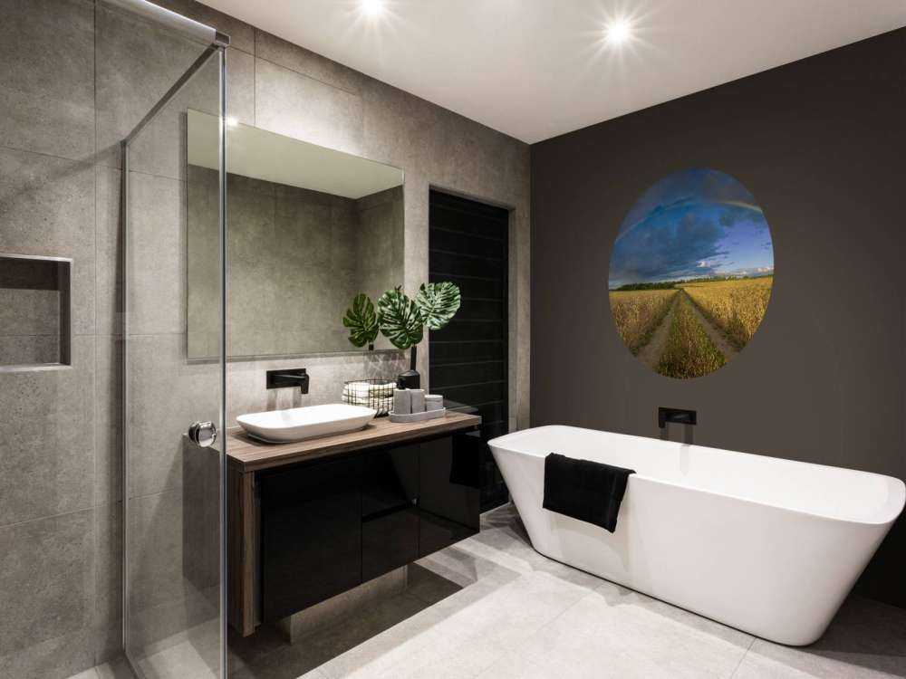 Tęcza nad polem pszenicy