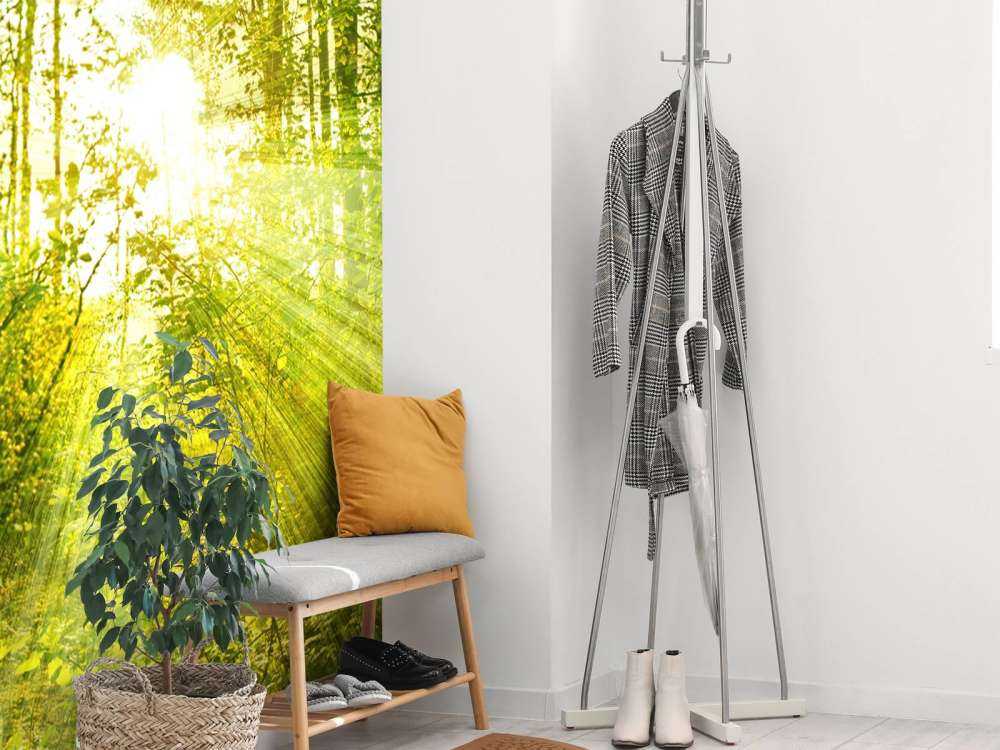 Słońce w zielonym lesie