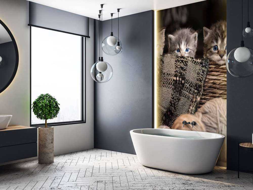 Trzy kocięta w koszyku