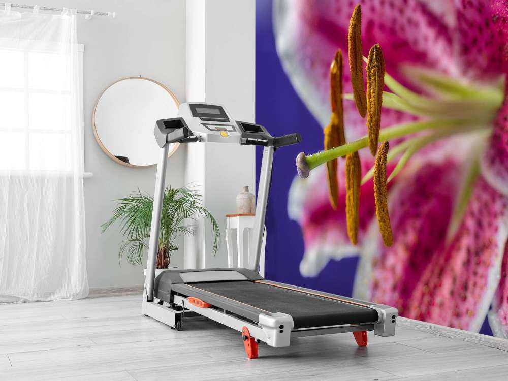 Zbliżenie na różowy kwiat