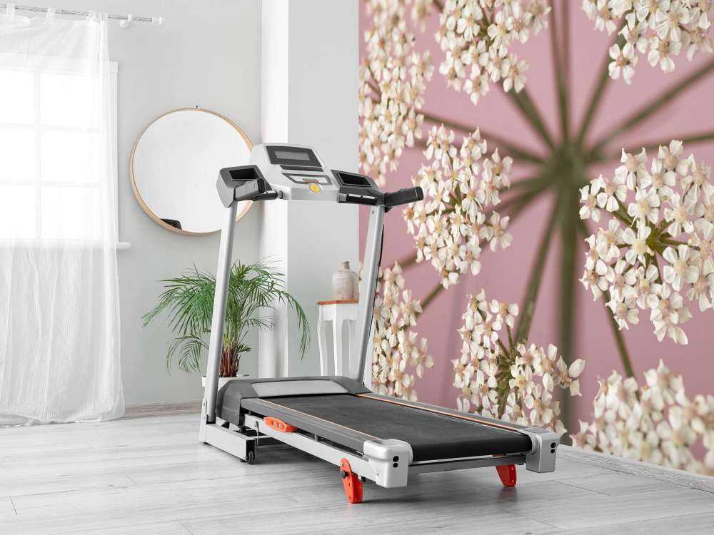 Pietruszka białej krowy