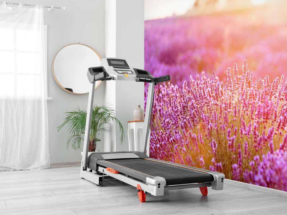 Zbliżenie na kwiaty lawendy