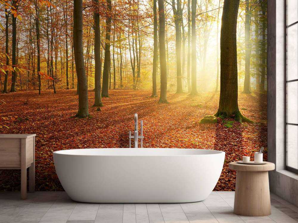 Jesienny poranek w lesie