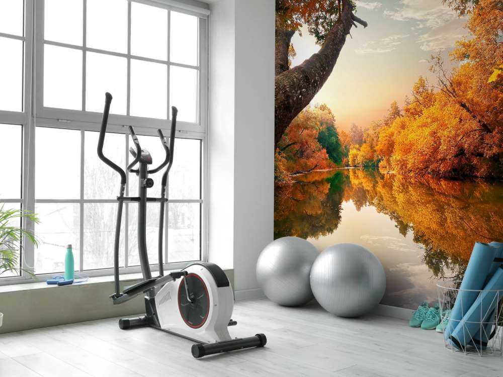 Pomarańczowa jesień