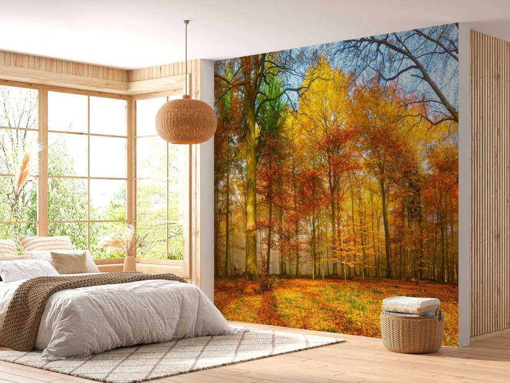 Kolorowa panorama lasu