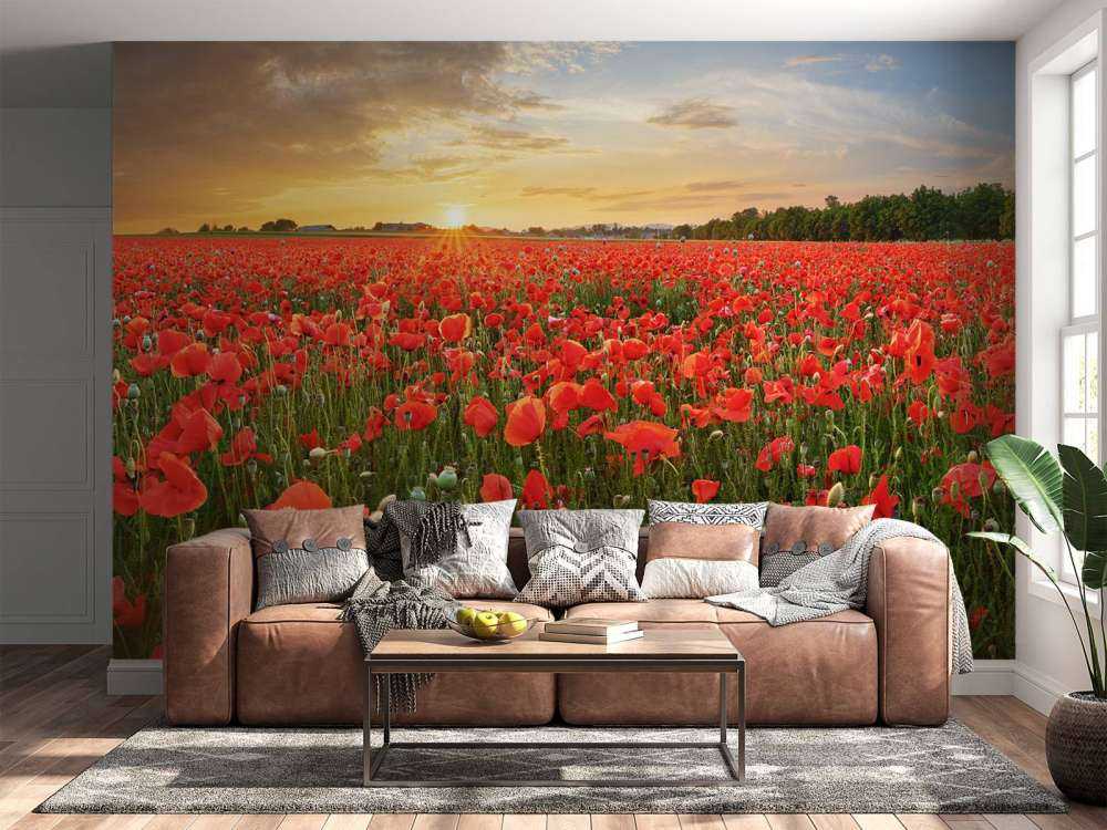 Zachód słońca z makami