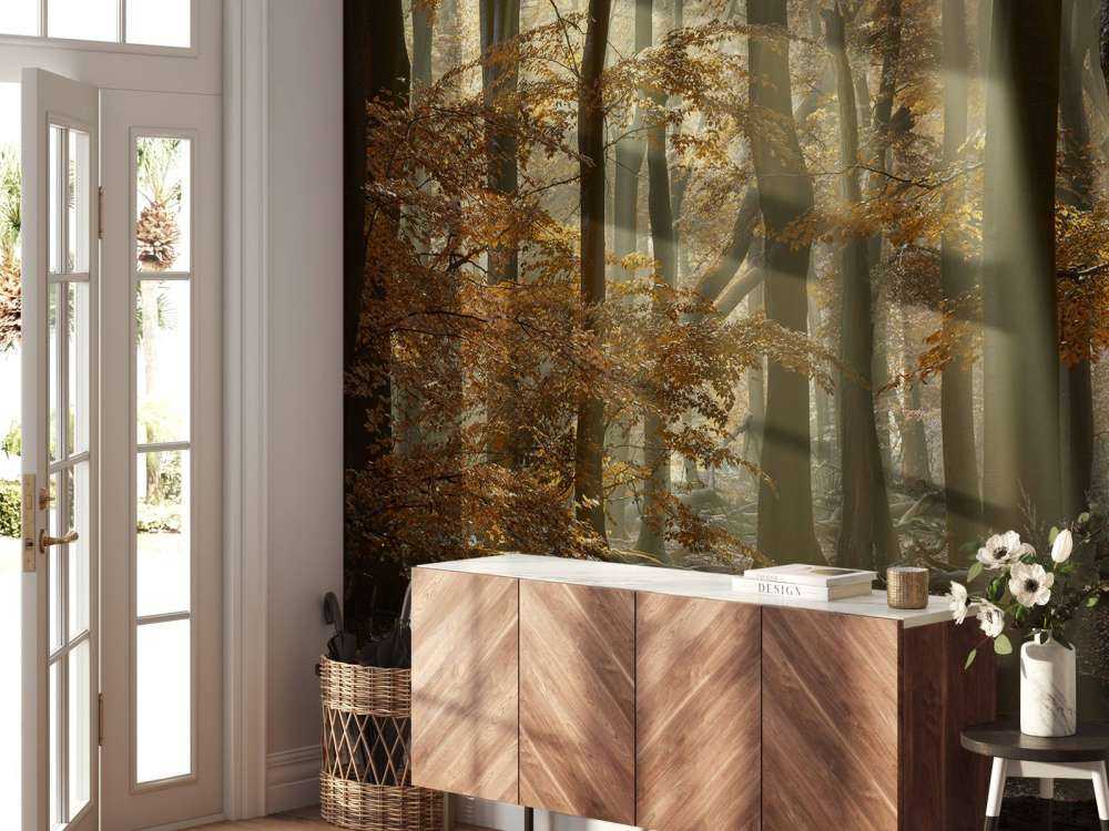 Jesienne kolory w lesie