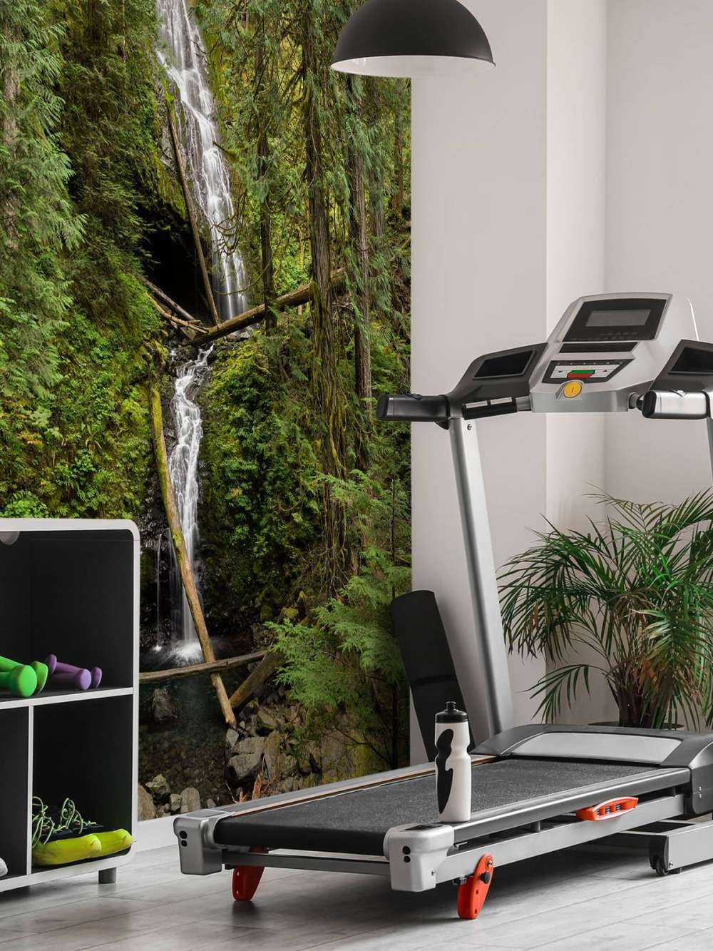 Wodospad z upadłymi drzewami