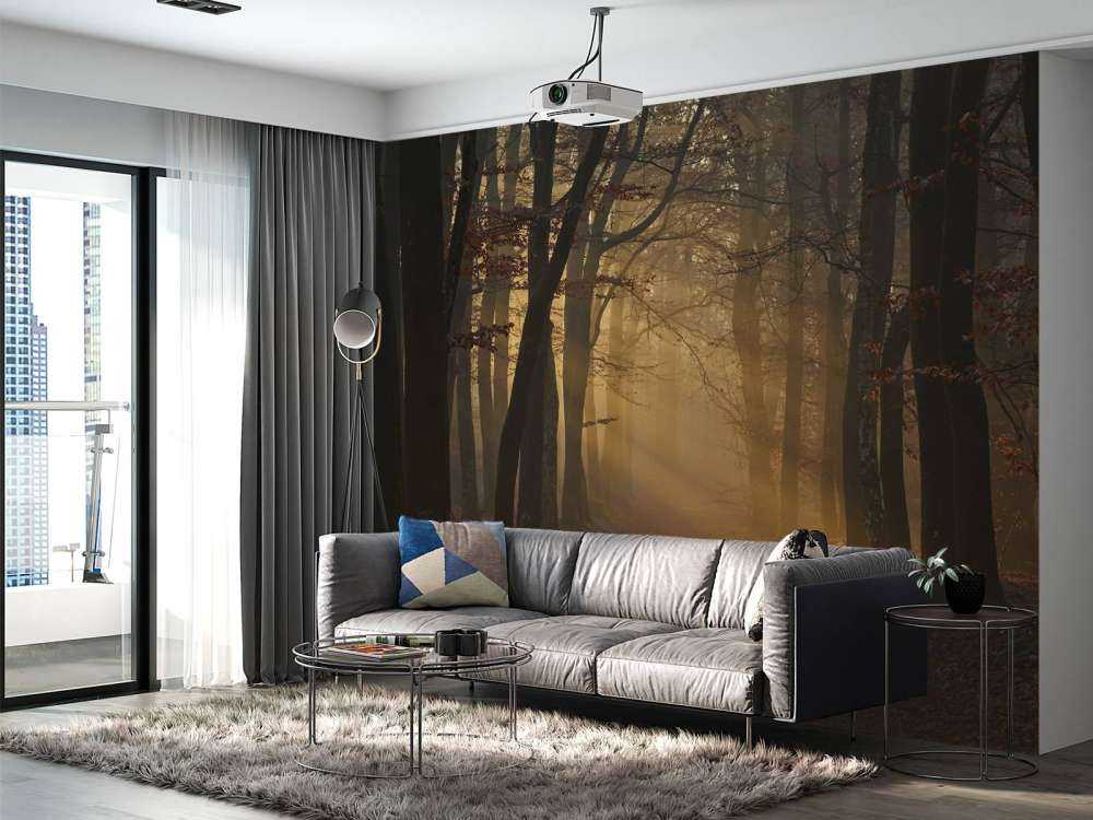 Tajemniczy jesienny las